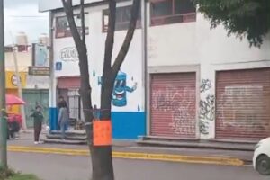 Vecinos de San Sebastián denuncian tala clandestina