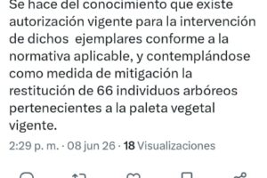 Secretaría municipal de Medio Ambiente asegura que tiene permiso para el derribo de 4 árboles en Bosques de San Sebastián 