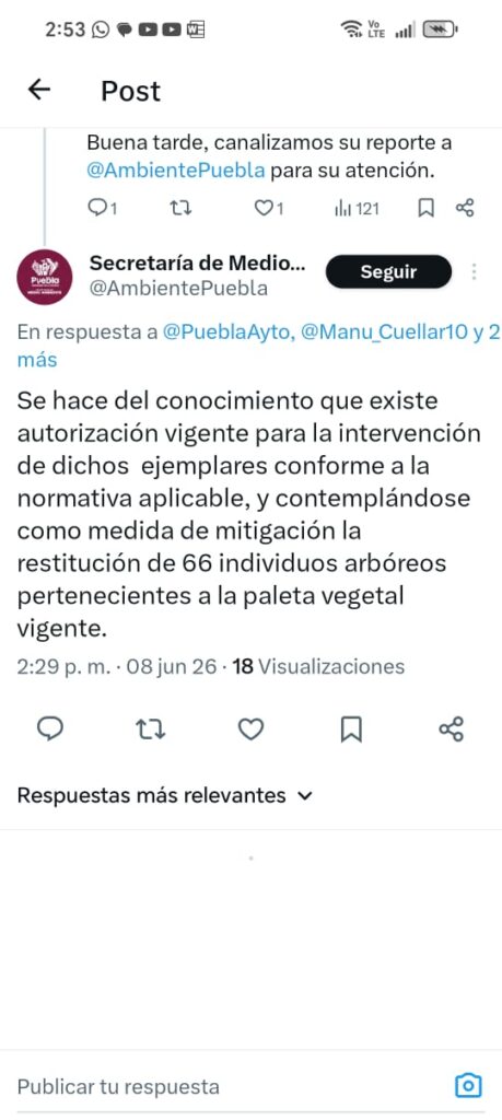Secretaría municipal de Medio Ambiente asegura que tiene permiso para el derribo de 4 árboles en Bosques de San Sebastián 