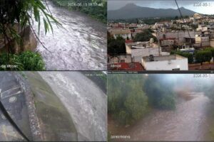 Caídas de árboles y de un poste de luz, saldo de la lluvia de este jueves en Puebla capital