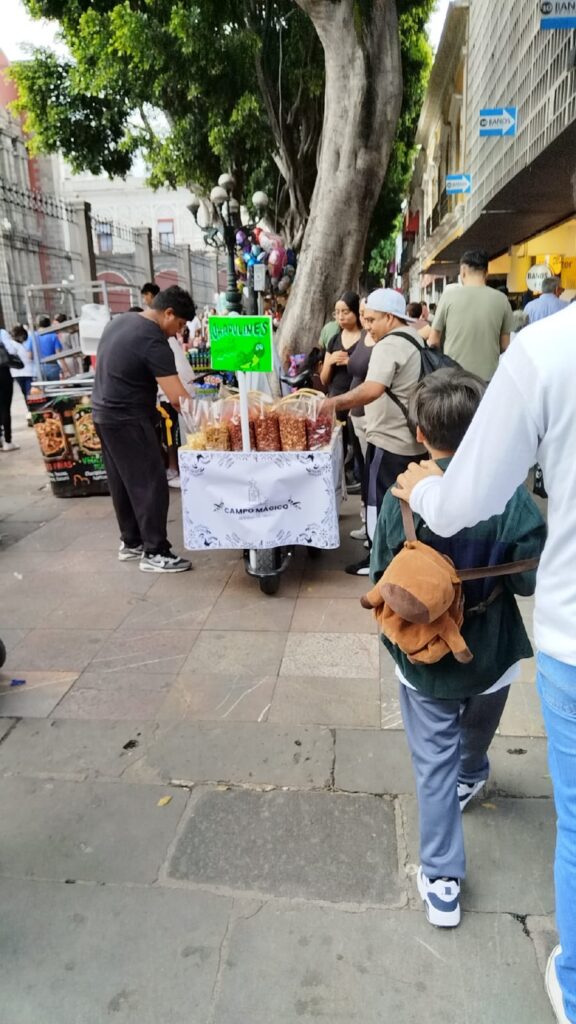 Ambulantes aprovechan la copa del mundo para llenar el Centro Histórico