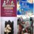 Festival de la Música y Noche de Museos en Puebla capital este fin de semana de los papás