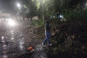 Una mujer muerta, inundaciones, vehículos varados y árboles caídos dejó la tromba en Puebla capital, confirman