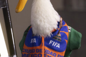 Le ganan registro de “Pato Merlín” a sus dueños