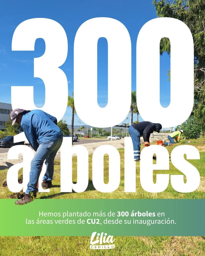 Más de 300 árboles se han plantado se han plantado en CU2 BUAP: Lilia Cedillo 