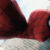 La misión casi imposible de Spider-Man: convertirse otra vez en un fenómeno mundial