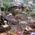 Ya pasaron diez años de una de las tragedias que dejó a Huauchinango vulnerable ante la fuerza de la naturaleza: La Tormenta Tropical Earl