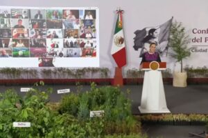 Sheinbaum y Armenta iniciarán la jornada nacional de reforestación