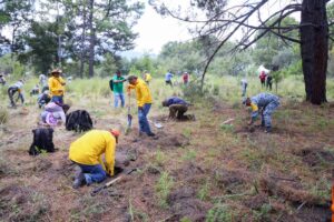El gobierno de Puebla reforestará 2 millones de árboles este año: García Parra