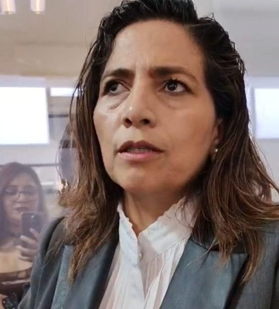 Hemos entregado al gobierno estatal licencias para el cablebús: Karina Romero
