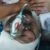 Balean a carnicero en Huauchinango; a unos metros de donde policías almorzaban