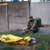 Ataques rusos y ucranianos dejan 10 muertos; Trump pide a Zelenskyy que “llegue a acuerdo con Putin”