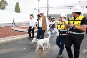 Célula de Bienestar Animal presenta avance de 88%: Armenta