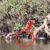 Redes: Cocodrilo sigue en la laguna de San Baltazar