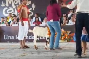 Redes: Armenta inicia la temporada 2026 del Mole de Caderas