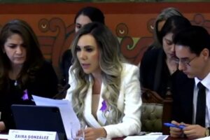 La Margarita, Los Héroes, Guadalupe Hidalgo, colonias con mayor violencia hacia las mujeres: Zayra González