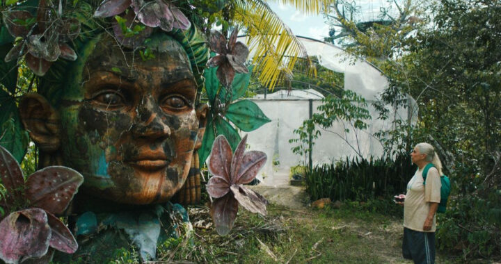 “O Ultimo Azul” y “Cosmos” películas de Cinevinay encabezan las nominaciones de la 68ª Edición del Premio Ariel